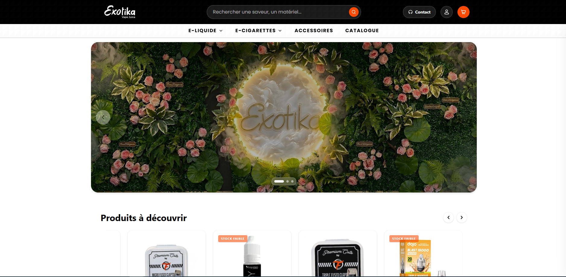 Capture d'écran du projet EXOTIKA